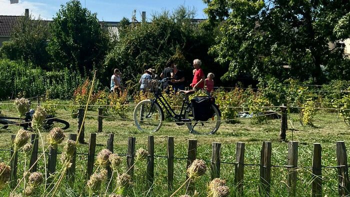 Wir bieten einen pädagogischen Besuch des Obstgartens mit seinen vielen Facetten an: Obstgarten, Palisander-Obstgarten und Wald-Garten.