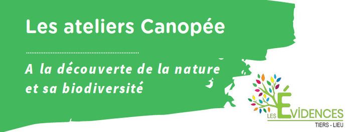 Quand et comment tailler un arbre fruitier ? Venez apprendre sous les conseils d'Aurélien spécialiste ancien pépiniériste