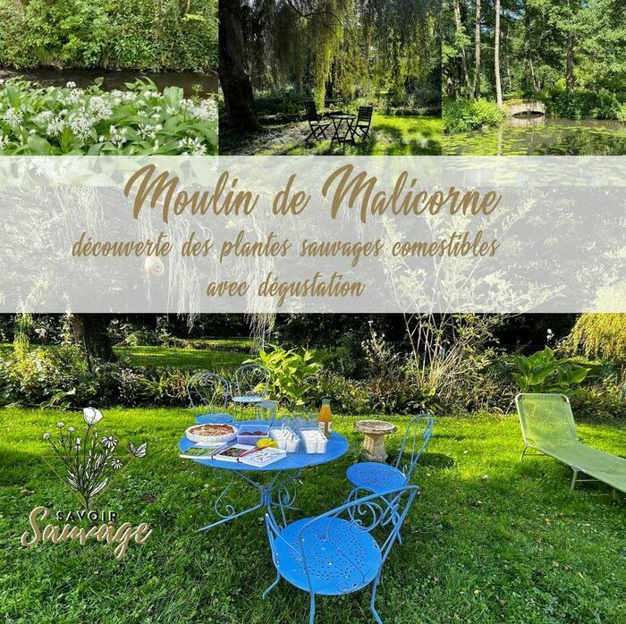 Le Moulin de Malicorne/ Un Jardin Ecosystem öffnet seine Türen für ein einzigartiges sensorisches Erlebnis und ein unvergessliches Eintauchen in seinen außergewöhnlichen Park (nur nach vorheriger Rese