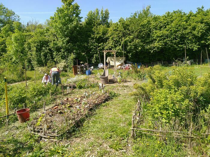 Der Regenbogengarten nimmt 1200 m² ein und wird von einem Verein verwaltet. Er ist geschlossen, aber es gibt keine Parzellen. Wir wählen gemeinsam, auf welcher Plattform wir setzen, was...