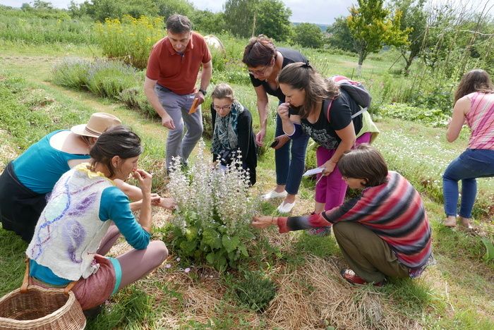 L'association Natur'ailes vous propose de découvrir le carré des simples par une approche sensible des plantes aromatiques et médicinales. Une démonstration de l'usage des plantes ancestrales e...