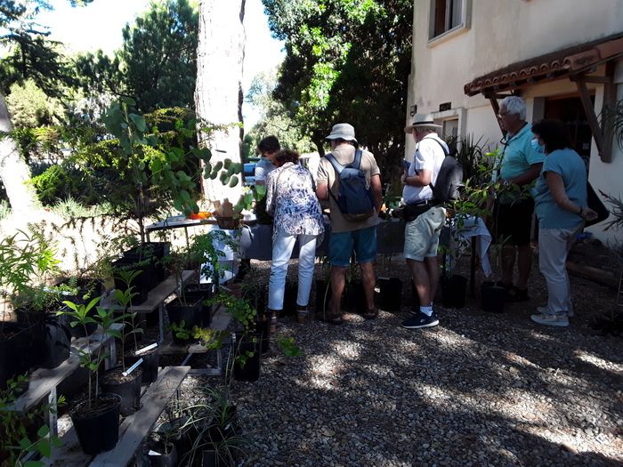 Kommen Sie und genießen Sie kulturelle Beratung und einen Verkauf von Pflanzen aus der Gärtnerei des Botanischen Gartens der Villa Thuret