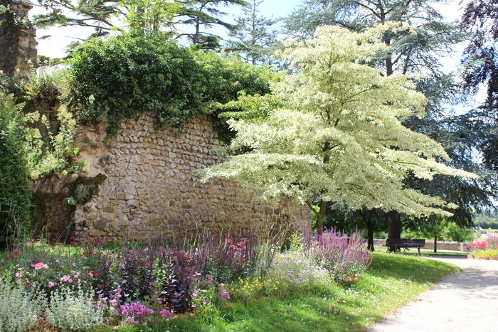 In der bezaubernden Umgebung des Schlossparks werden verschiedene Aussteller im Zusammenhang mit dem Thema Gärten anwesend sein. Es werden auch Animationen angeboten (Tauschhandel mit Pflanzen, Worksh