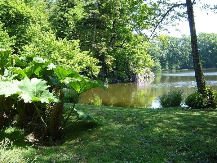 Gehen Sie innerhalb dieses landschaftlichen und romantischen um einen Teich gezeichneten Parks umher.