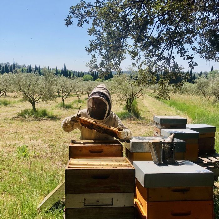 La Miellerie de Sulauze organise un week-end portes ouvertes lors de l'API'WEEK pour vous faire découvrir le métier d'apiculteur et vous proposer une dégustation de miel.