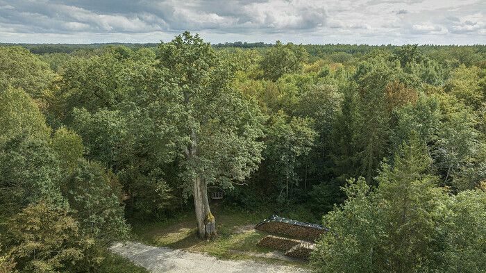 Balade dans la forêt du Val à proximité du Gros Chêne.