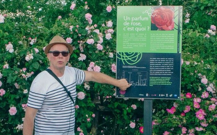 Spazieren Sie durch die Rosen und atmen Sie ihre Düfte! mit den Fingerspitzen an ihren Stacheln und streicheln Sie die seidigen Blütenblätter! Die schimmernden oder pastellfarbenen Farben bewundern! D