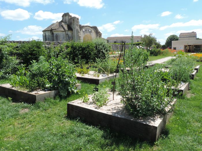 Führung von einem Vermittler des Erbes auf dem Platz der Natur im Mittelalter und auf der Einrichtung der klösterlichen Gärten.