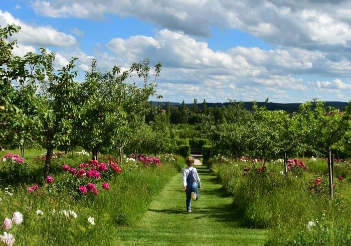 Entdecken Sie mit Ihrem Kind die Gärten und Geheimnisse der Blumen. Er wird ihren Duft und ihre geheime Sprache entdecken. Am Ende seiner Entdeckung erhält er einen Schatz.