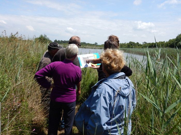 Parc des Jalles - Sortie nature entre Jalles et Forêts focus Zones Humides animée par la Fédération de Pêche de la Gironde