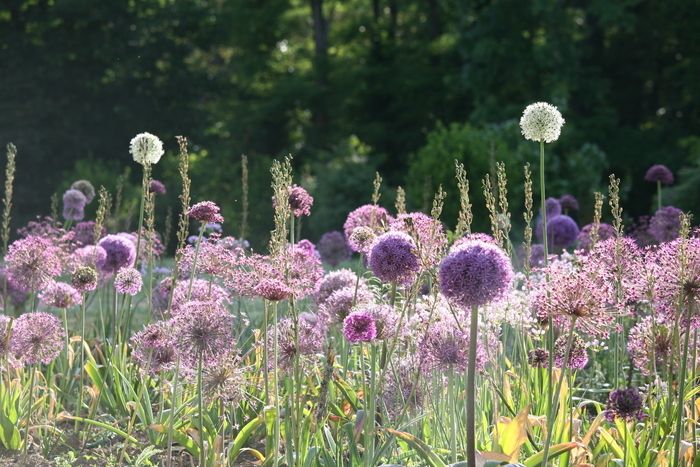 Die Gärten des Schlosses Losmonerie erhielten 2023 das Label "Bemerkenswerter Garten".