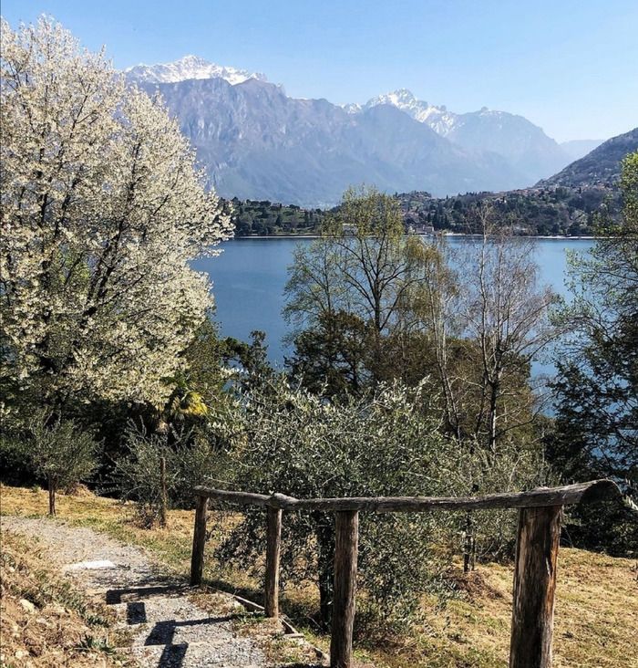 On the occasion of the traditional "Appointment in the garden" of the APGI (Italian Parks and Gardens Association) we propose a thematic visit to discover the hidden garden of Villa Carlotta.