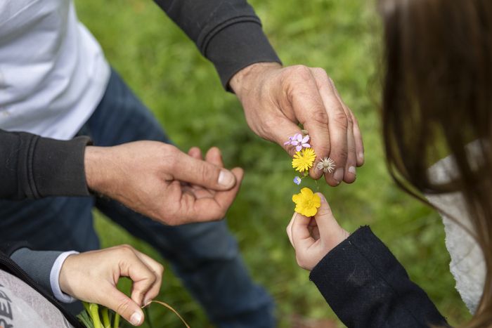 Plantes sauvages comestibles et atelier de cuisine