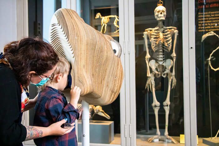 S’appuyant sur des travaux de chercheurs, Zooscope vous invite à voir le monde à travers le regard d’animaux