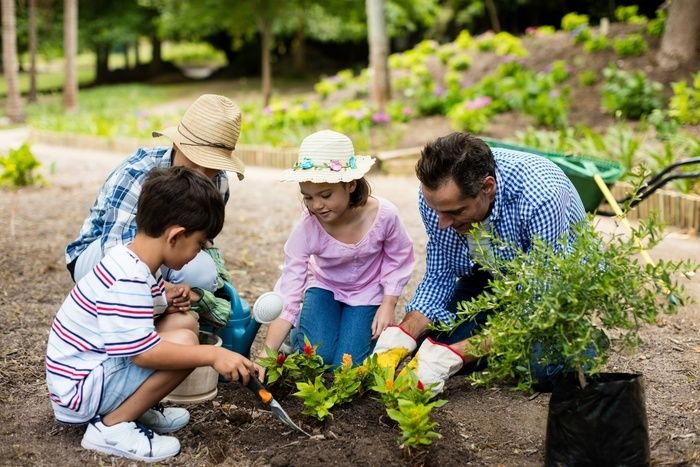 A travers des actions très concrètes de jardinage (plantation, semis, récolte), faites découvrir à vos enfants l'importance du végétal dans le cycle de la vie et dans l'alimentation