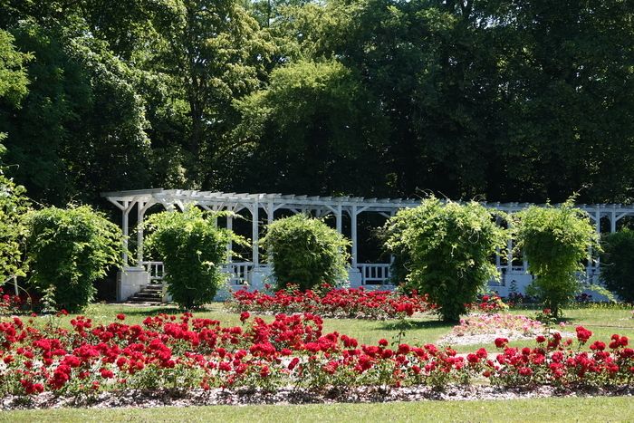 Destination Vittel bietet einen sensorischen und olfaktorischen Rundgang. Geführte Besichtigungen zur Entdeckung der Kräuter-Massivs. Wir treffen uns um 10:30 Uhr im Rosengarten.