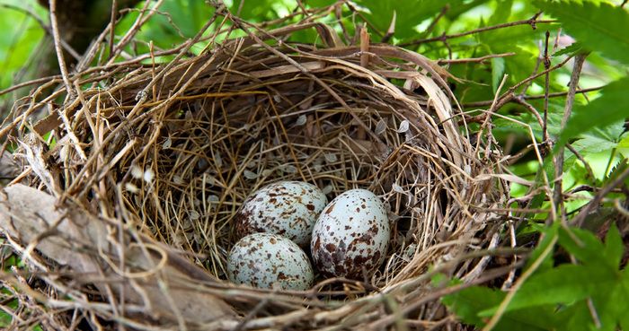 Mehrere Organisationen werden am Wochenende anwesend sein: