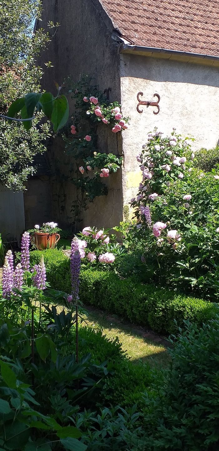 Anlässlich der «Rendez-vous aux jardins 2024» lädt der Besitzer Sie ein, seinen Garten zu besuchen. Rund um das Haus erstreckt sich der Pfarrgarten mit mehreren Stauden.