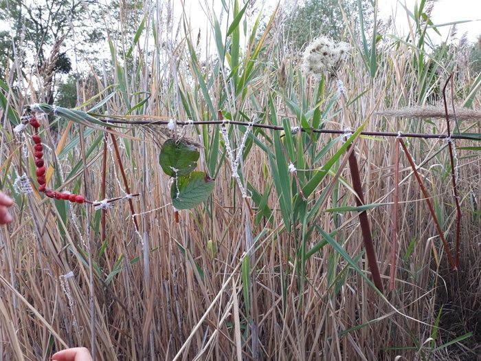 ATELIER / Observation de la nature, intervention plastique