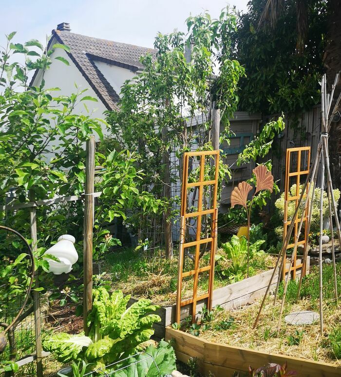 Ein Mikrogarten aus Permakultur, ein Kuriositätenkabinett und ein Trio von geschichtsträchtigen Musikerinnen, um eine herrliche Zeit zu verbringen