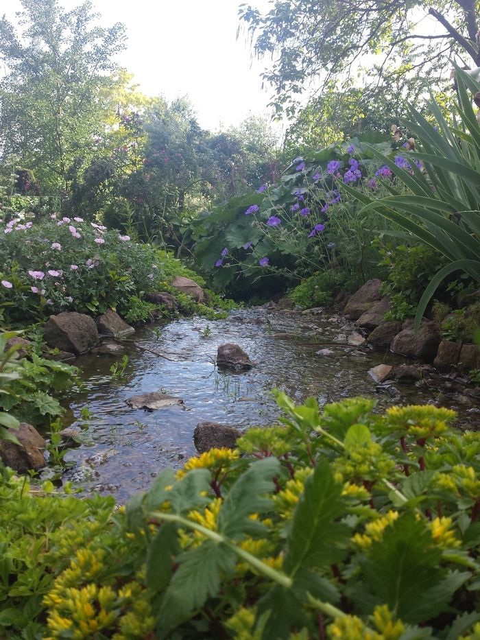 Auf der Rückseite eines elsässischen Hauses von 1731 bietet der Garten einen Spaziergang zwischen Bäumen, Stauden, Wasserstellen und kleinen Ruheplätzen auf einer Fläche von 55 Hektar. Eine private Ei