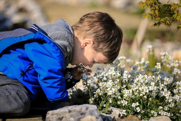 Eine spannende Führung für junge interessierte Naturforscher durch den Aschersleber Stadtpark zum Fühlen, Schnuppern, Entdecken, Lauschen und Verkosten.