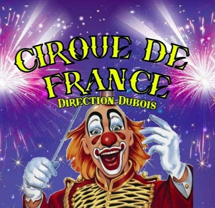 Le Cirque de France s'installe sur la Grand'Place de Roubaix.