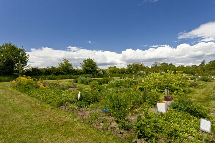 Garten mit Kräutern und Heilpflanzen für jedermann geöffnet.