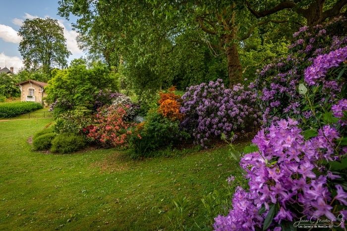 Im Rahmen der nationalen Veranstaltung «Rendez-Vous aux Jardins» entdecken Sie Ihre fünf Sinne durch Heilpflanzen und Kräuterkunde. Die Teilnehmer werden das Vergnügen der...