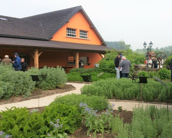 Der geheime Garten der Grünen Fee zeigt die Pflanzen (Stauden), die für die Herstellung von Wermut verwendet werden: Engelwurz, Fenchel, Zitronenmelisse, Pfefferminze, Veronika, Koriander, ohne oder..