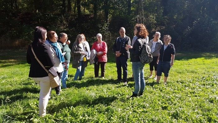 Savourons les richesses de la nature en apprenant à (re)découvrir les vertus et les usages des plantes sauvages comestibles et médicinales de nos régions.