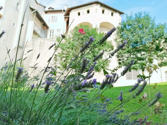 Entdeckung der archäologischen Überreste der gallo-römischen Stadtmauer von Cularo (heute Grenoble) und des Chores der Kathedrale Notre-Dame im Herzen des Gartens des Museums mit Stauden verschönert.