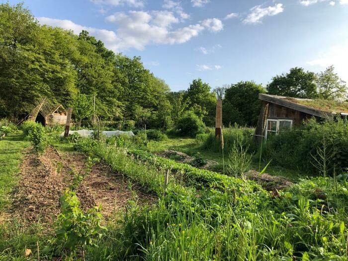 Besuchen Sie anlässlich des Gartentreffens 2024 den «Garten Ressource», wie Sie ihn noch nie gesehen haben! Wie Sie es noch nie gefühlt, berührt, geschmeckt und gehört haben.