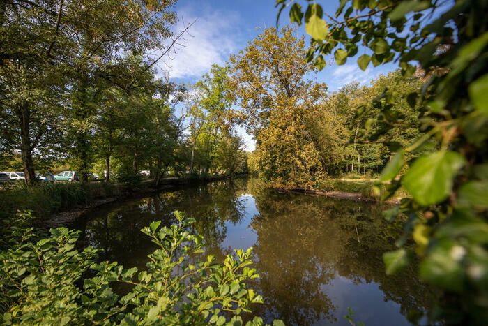 Balade autour des Berges de la Garonne