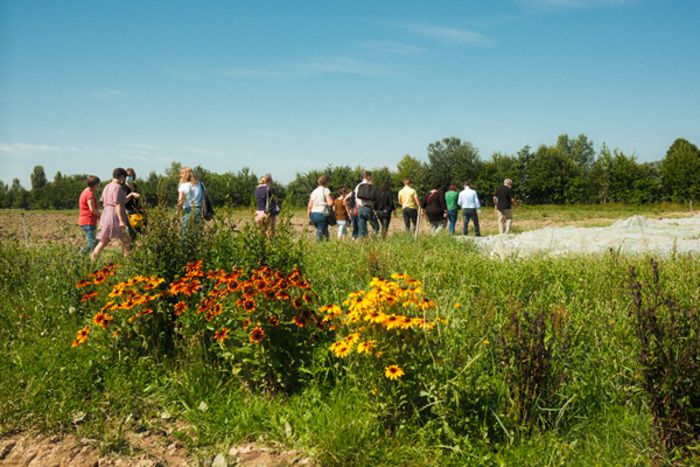 Anlässlich des Rendezvous in den Gärten 2024 bringen Sie die Freiwilligen unseres Vereins um unsere 8 Hektar! Machen Sie einen Spaziergang auf dem Feld, wo unser Gemüse wächst und wo...