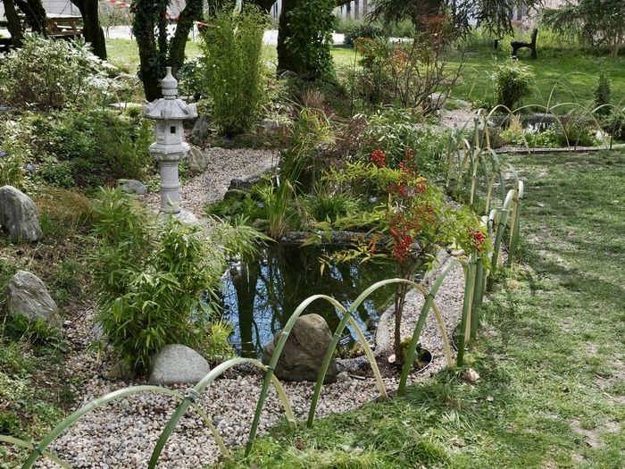 Für Termine im Garten besuchen Sie den Dominique Villars Garten und seinen japanischen Heilpflanzengarten. Bei dieser Tour werden Sie 12 ikonische Blumen treffen ...