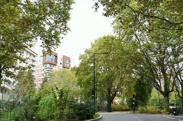 3-stündige Radtour für 12 Personen ab 12 Jahren. Geschätzte Entfernung ca. 10 km. Diese botanische Entdeckung und Verwaltung der Bäume in der Stadt (Pflanzen, Bewässerung, Beschneiden, Kampf gegen ...