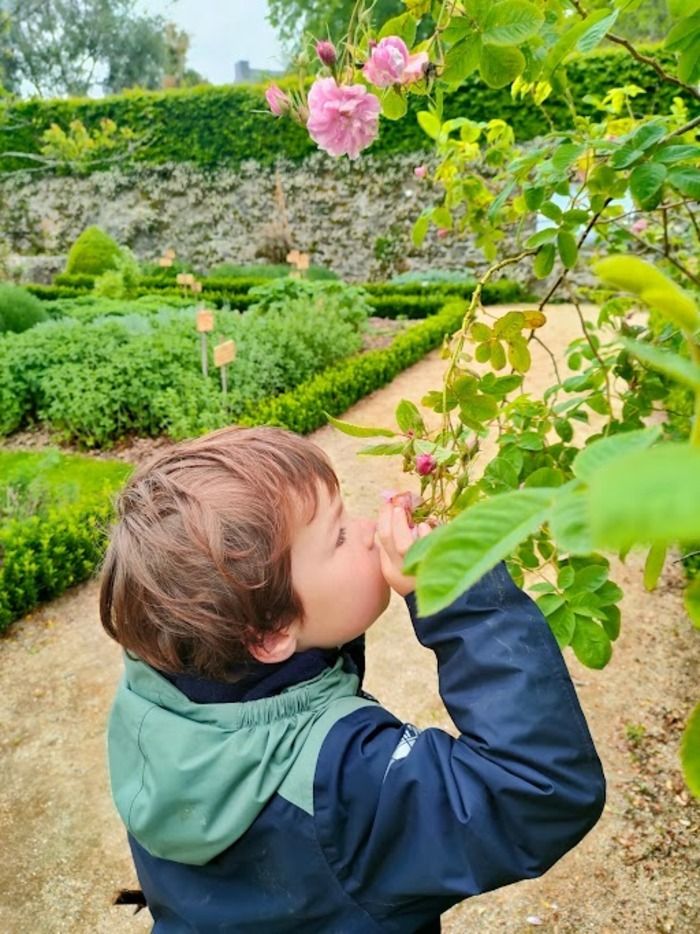 Werden Sie Blumen an ihren Gerüchen erkennen, Vögel an ihren Gesängen, Pflanzen nach ihrem Geschmack oder Samen an ihrer Berührung? Vereinen Sie die Intuitionen und das Wissen der ganzen Familie, um z