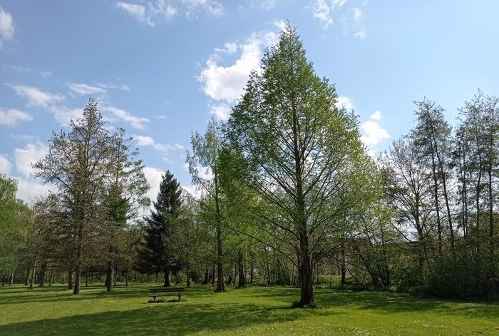 Besuchen Sie die Gärten 2024, um sich im Park der Freiheit auszuruhen, zu entspannen, die Natur zu beobachten und auf großen Rasenflächen zu flanieren. Der Park bietet ...