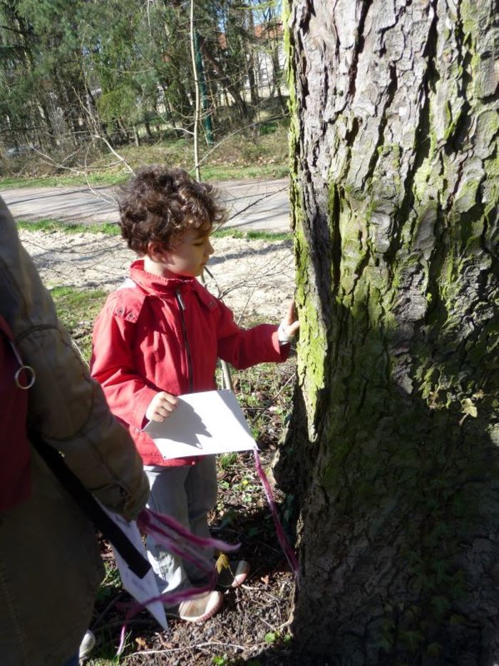 BALADE / Catastrophe, l'arbre Grognon a dérobé un objet précieux ! Pour le récupérer, vous devrez mener l'enquête et parvenir à le réconforter...