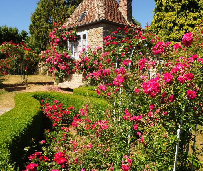 Fête des Roses