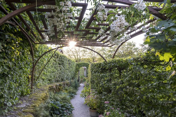 Seit über 30 Jahren bietet der Jardin des Cinq Sens seinen Besuchern einen einzigartigen sensorischen Spaziergang. Für diese neue Ausgabe der Rendez-Vous aux Jardins werden Treffen und Workshops...