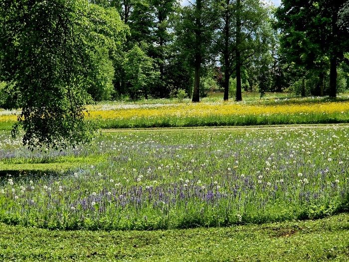 Am Samstag, den 1\. Juni, lädt das Kulturhistorische Museum der Herzöge Oginski von Rietavas zum siebten Mal Liebhaber historischer Parks und die breite Öffentlichkeit ein, an der Veranstaltung des Pr