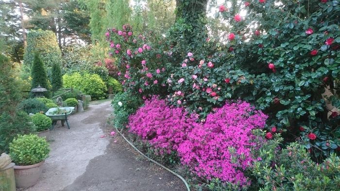 Der Lumbini Garten/Galerie in Saint-Lyphard öffnet seine Türen für die Gartentreffen. Normalerweise ist der Garten nach Vereinbarung vom 01\. Juli bis 01\. September geöffnet. In der Gründung seit...