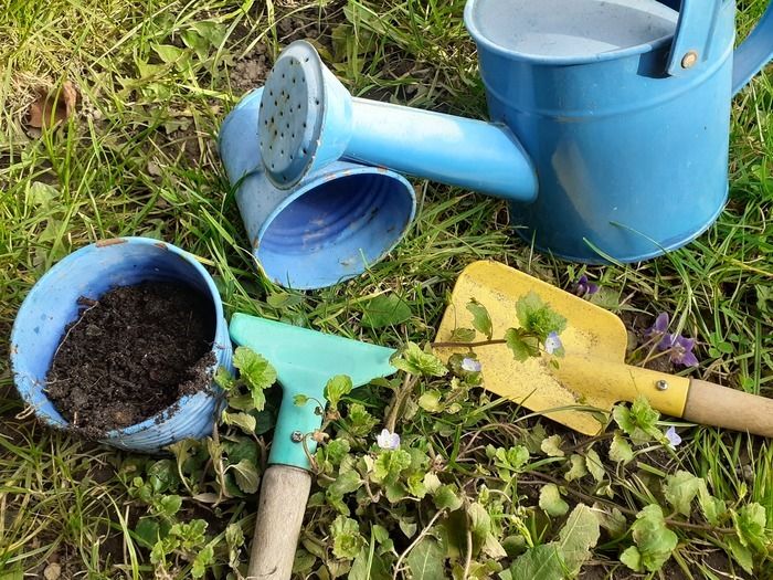 vien préparer les semis pour le jardin