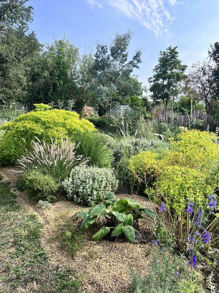 Der Garten öffnet seine Türen, um Ihnen einen natürlichen Ort ohne Bewässerung zu entdecken. Es handelt sich um einen ökologischen Ziergarten, der aus über 600 Pflanzenarten besteht, die oft selten si