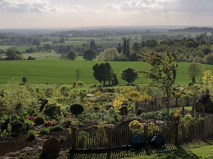 Ungewöhnlicher Garten auf dem Feld.