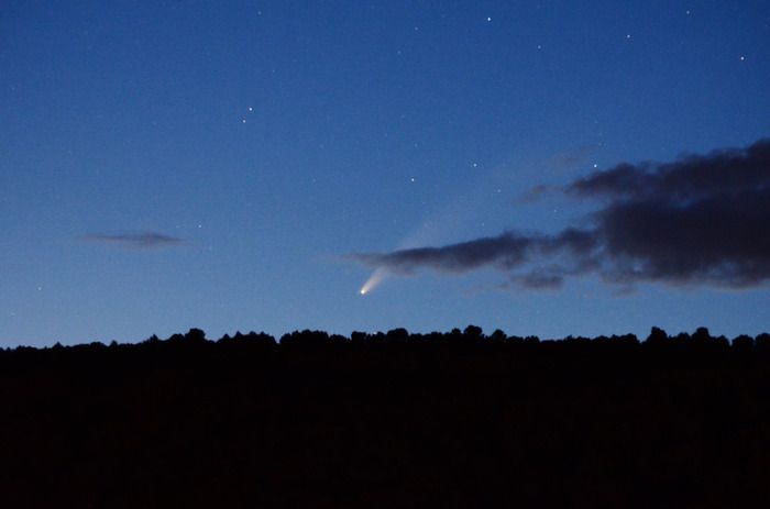 Lernen Sie die Wissenschaft der Astronomie unter dem Schutz der großen Bäume der Gärten des Priorats kennen! Intervention unter der Leitung des Vereins «450 Millionen Lichtjahre»