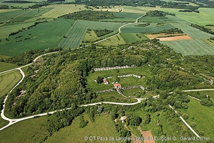 C'est un fort de deuxième ligne, situé au sud-ouest de Langres, en charge de défendre le sud du plateau et de protéger la citadelle de Langres, dont la construction débute en 1869. Il sera remanié ap…