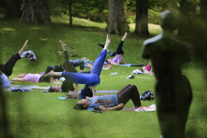 Yogastunden auf den Rasenflächen des Museums.